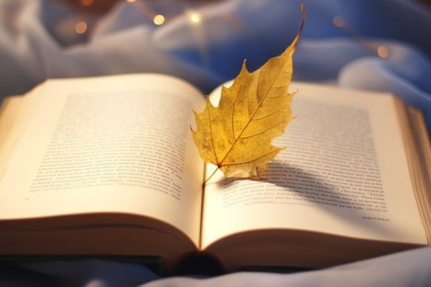 云南单招学校排行榜分数线最低 云南录取分数线最低的大学