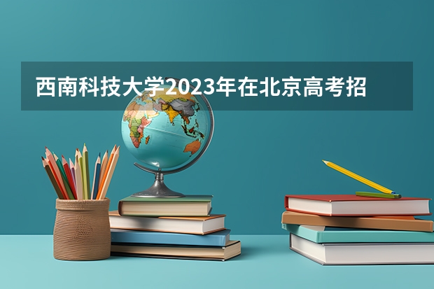 西南科技大学2023年在北京高考招生多少人