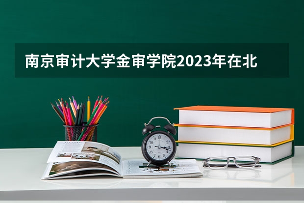 南京审计大学金审学院2023年在北京高考招生多少人