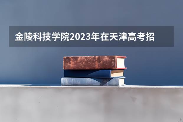 金陵科技学院2023年在天津高考招生多少人