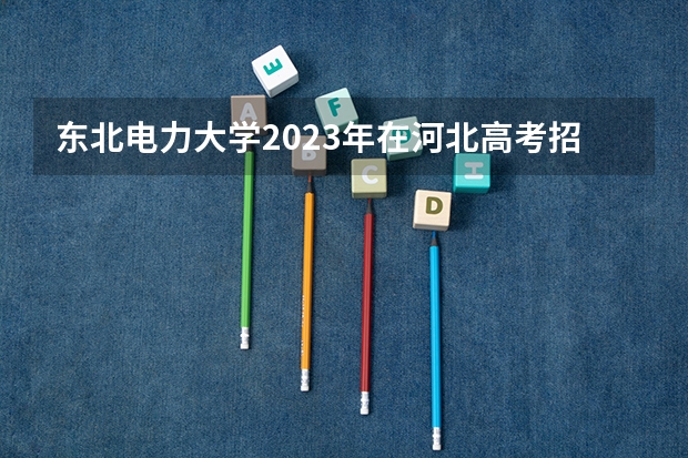 东北电力大学2023年在河北高考招生多少人