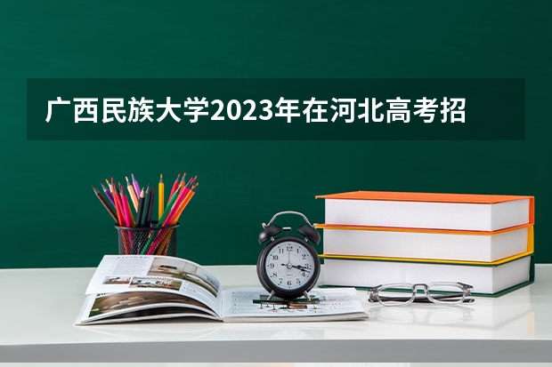 广西民族大学2023年在河北高考招生多少人