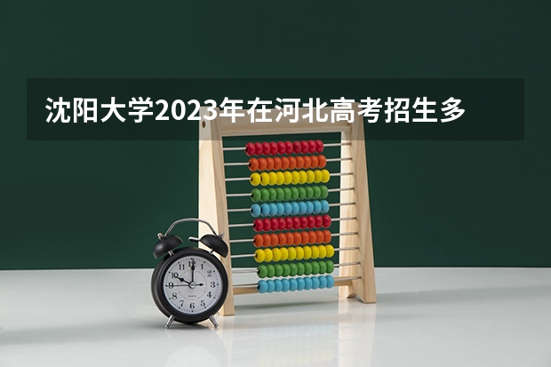 沈阳大学2023年在河北高考招生多少人