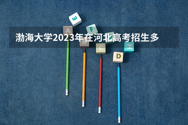 渤海大学2023年在河北高考招生多少人