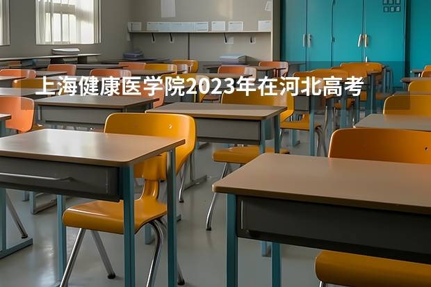 上海健康医学院2023年在河北高考招生多少人