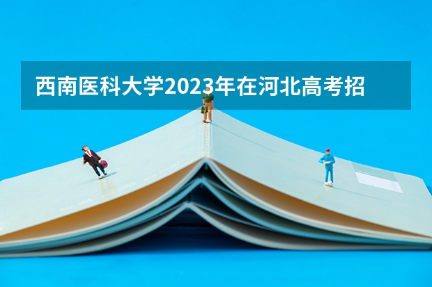 西南医科大学2023年在河北高考招生多少人