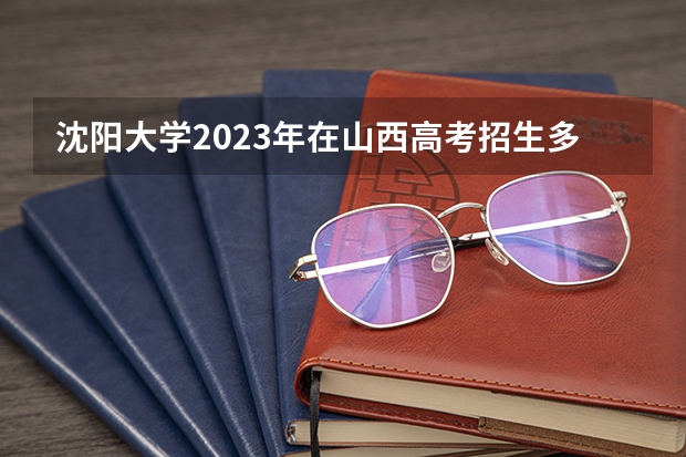 沈阳大学2023年在山西高考招生多少人