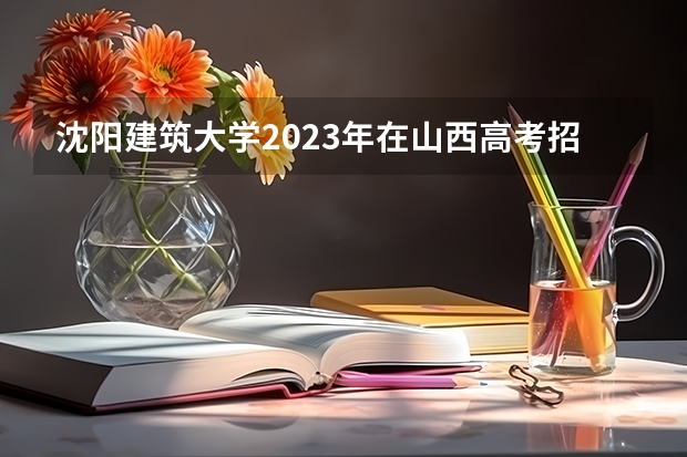 沈阳建筑大学2023年在山西高考招生多少人