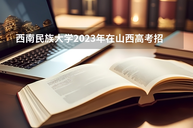 西南民族大学2023年在山西高考招生多少人