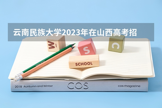 云南民族大学2023年在山西高考招生多少人