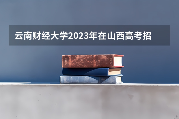 云南财经大学2023年在山西高考招生多少人