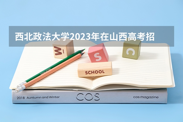 西北政法大学2023年在山西高考招生多少人