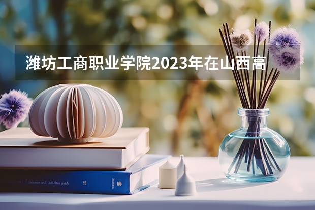 潍坊工商职业学院2023年在山西高考招生多少人