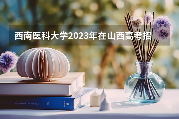 西南医科大学2023年在山西高考招生多少人