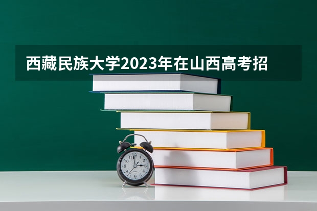 西藏民族大学2023年在山西高考招生多少人