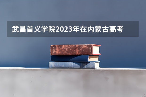 武昌首义学院2023年在内蒙古高考招生多少人