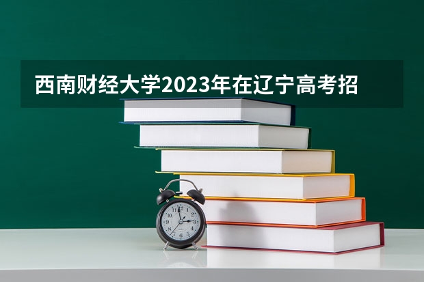 西南财经大学2023年在辽宁高考招生多少人