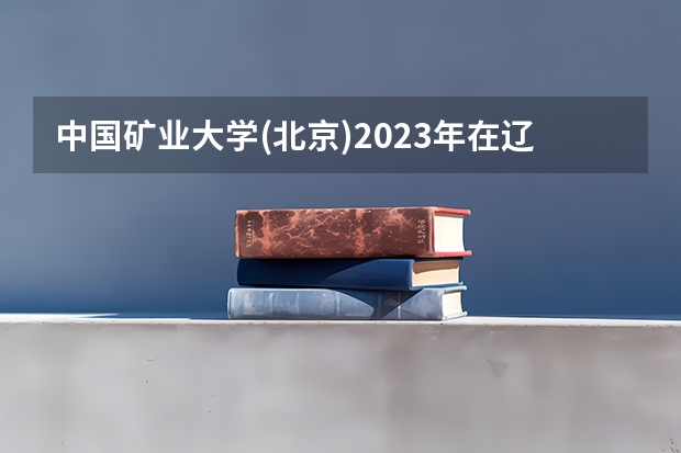 中国矿业大学(北京)2023年在辽宁高考招生多少人
