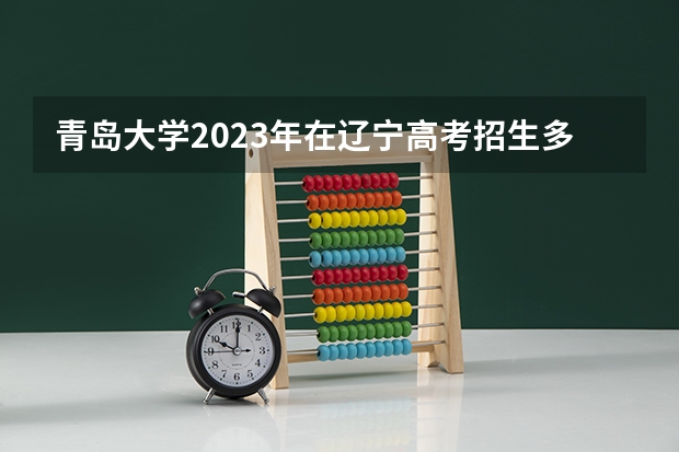 青岛大学2023年在辽宁高考招生多少人