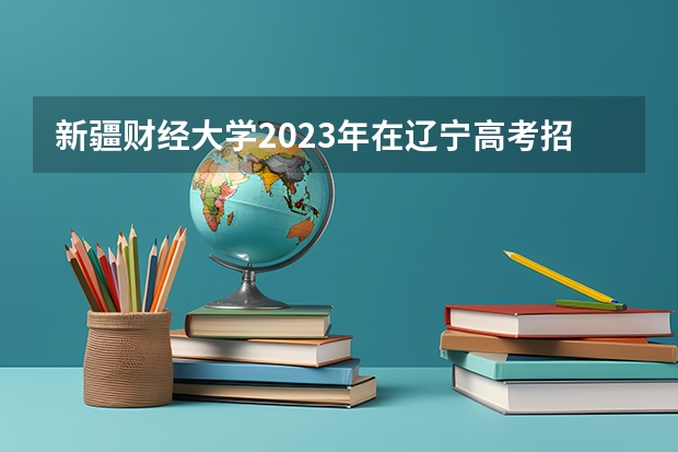 新疆财经大学2023年在辽宁高考招生多少人
