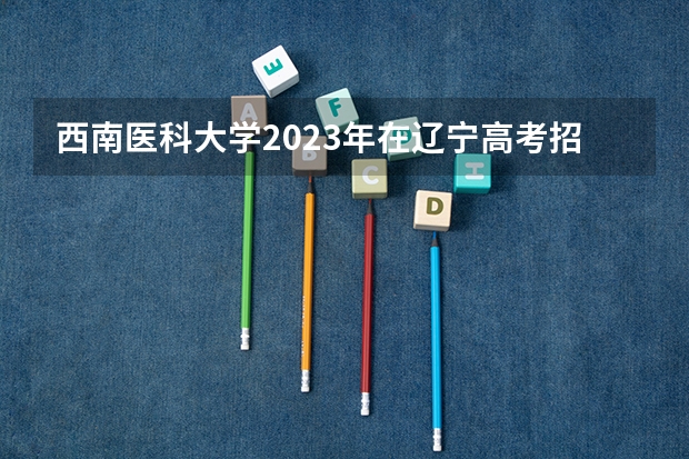 西南医科大学2023年在辽宁高考招生多少人