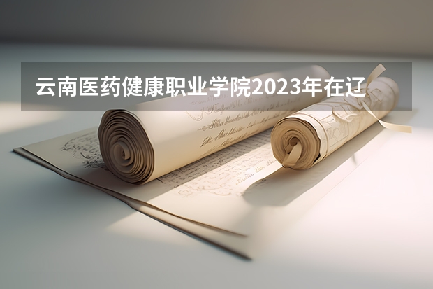 云南医药健康职业学院2023年在辽宁高考招生多少人