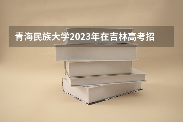 青海民族大学2023年在吉林高考招生多少人