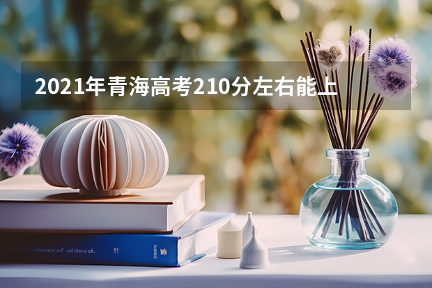 2021年青海高考210分左右能上什么样的大学