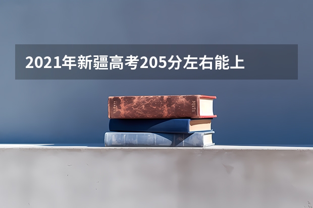 2021年新疆高考205分左右能上什么样的大学
