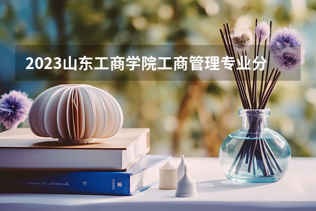 2023山东工商学院工商管理专业分数线是多少 山东工商学院工商管理专业历年分数线总汇