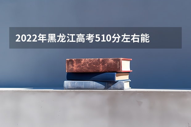 2022年黑龙江高考510分左右能上什么样的大学
