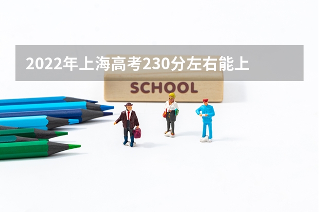 2022年上海高考230分左右能上什么样的大学