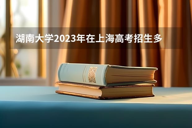 湖南大学2023年在上海高考招生多少人