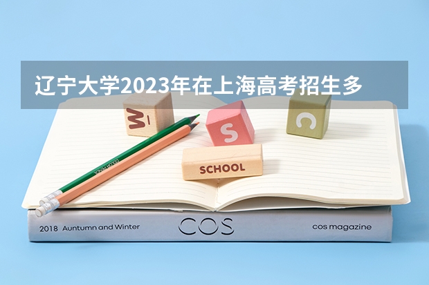 辽宁大学2023年在上海高考招生多少人