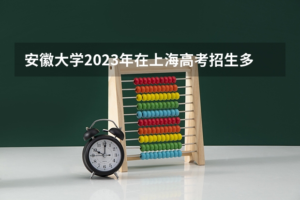 安徽大学2023年在上海高考招生多少人