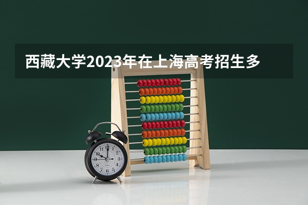 西藏大学2023年在上海高考招生多少人
