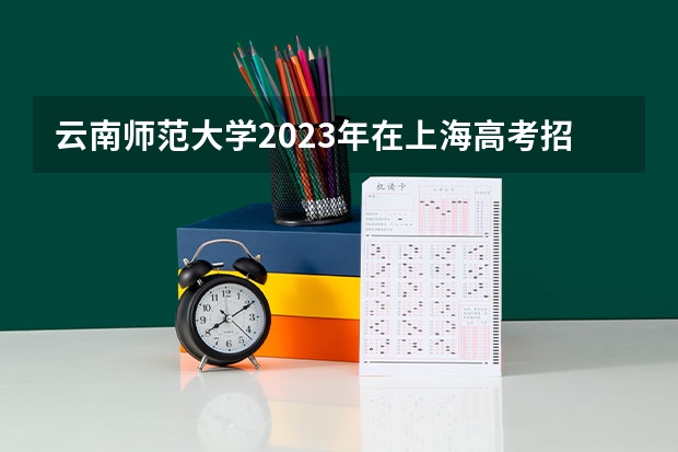 云南师范大学2023年在上海高考招生多少人