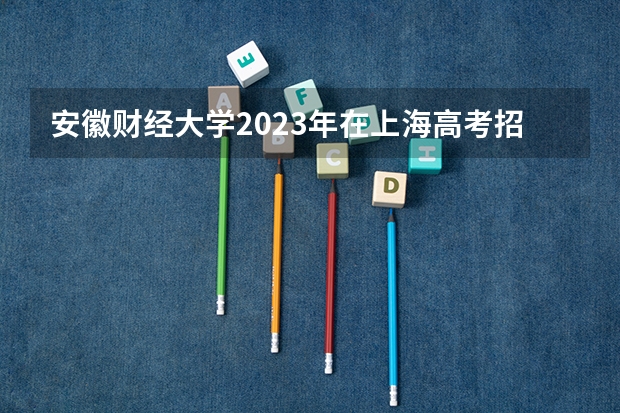安徽财经大学2023年在上海高考招生多少人