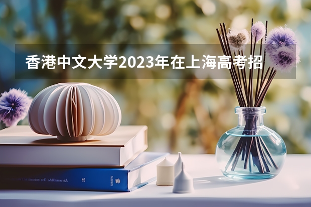 香港中文大学2023年在上海高考招生多少人