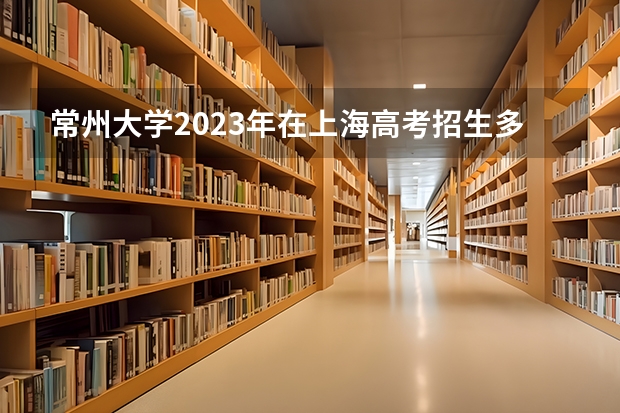 常州大学2023年在上海高考招生多少人