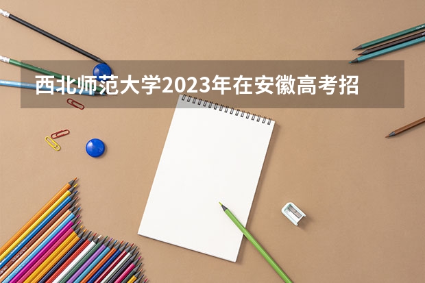 西北师范大学2023年在安徽高考招生多少人