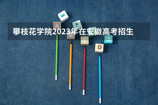 攀枝花学院2023年在安徽高考招生多少人