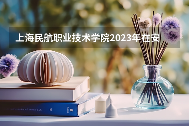 上海民航职业技术学院2023年在安徽高考招生多少人