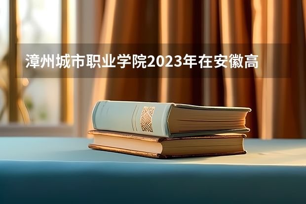 漳州城市职业学院2023年在安徽高考招生多少人