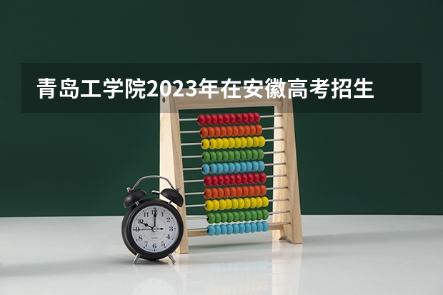 青岛工学院2023年在安徽高考招生多少人