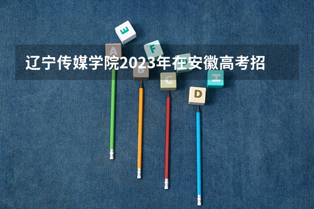 辽宁传媒学院2023年在安徽高考招生多少人