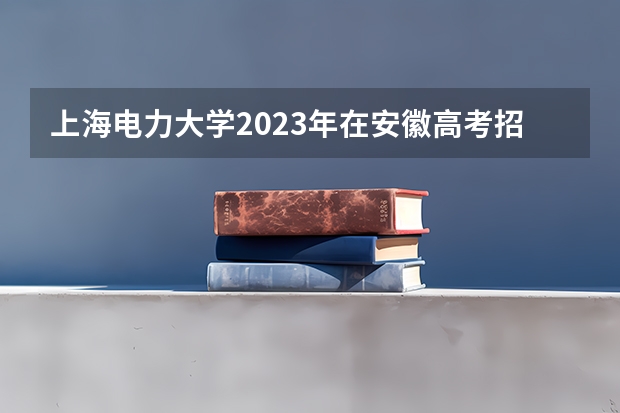 上海电力大学2023年在安徽高考招生多少人