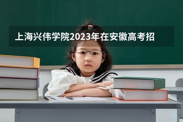 上海兴伟学院2023年在安徽高考招生多少人