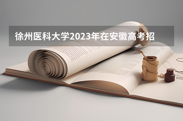 徐州医科大学2023年在安徽高考招生多少人