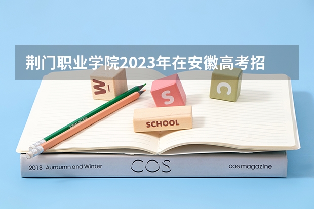 荆门职业学院2023年在安徽高考招生多少人